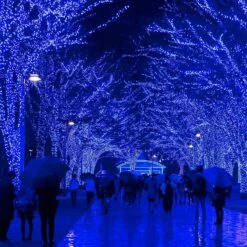 VTECHOLOGY Christmas String Lights, 66FT 200 LEDs Blue Halloween String Lights 8 Modes Fairy Lights With End-to-End Plug Decoration For Christmas Tree Indoor Outdoor, Blue (Clear Wire) -Xmas Lighting Shop 918B6SPwwqL. AC SL1500