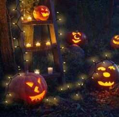 Candy Corn Halloween Lights Set, 100 Incandescent Orange And Yellow Mini String Lights UL Certified Christmas Lights Black Wire For Indoor Outdoor Use Holiday Decorations -Xmas Lighting Shop 91PHC3eSyS. AC SL1500