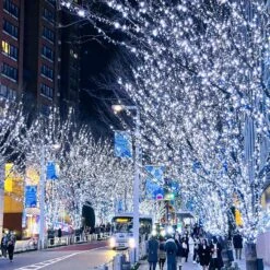 YOUNGAR 98FT 200 LED White String Lights, 8 Modes White Christmas Lights Indoor Outdoor, 30V UL Certified Twinkle Lights Plug In For Home, Garden, Wedding, Party, Christmas, Holiday Decoration 13 YOUNGAR 98FT 200 LED White String Lights, 8 Modes White Christmas Lights Indoor Outdoor, 30V UL Certified Twinkle Lights Plug In For Home, Garden, Wedding, Party, Christmas, Holiday Decoration -Xmas Lighting Shop A1 TmJdPPL. AC SL1500